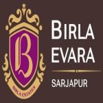 Avatar birla evara